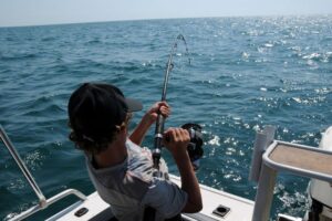 Consejos para la pesca con cebo vivo